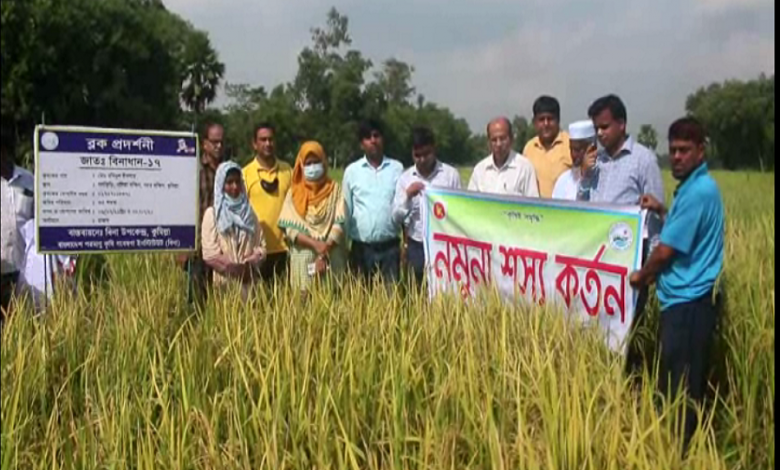 কুমিল্লায় কৃষকের আয় বাড়িয়েছে বিনা ১৬ ও ১৭ 1 কুমিল্লা