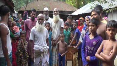গাই