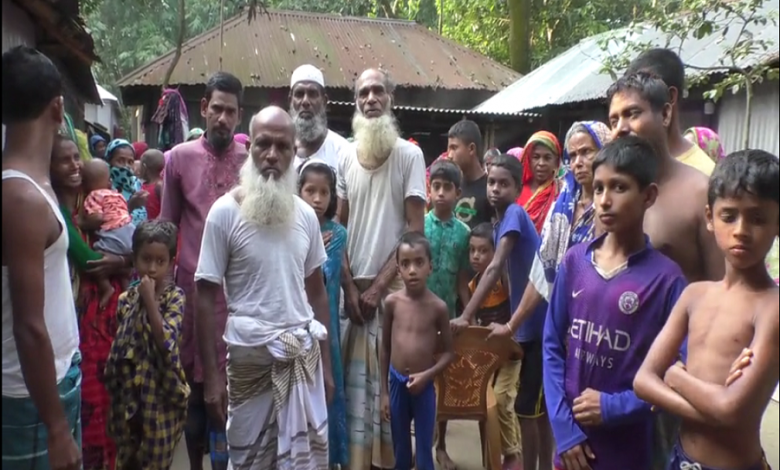 গাই