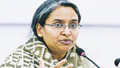 দীপু