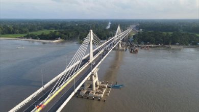 পায়রা