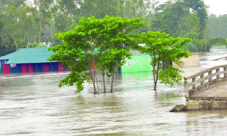 বন্যা