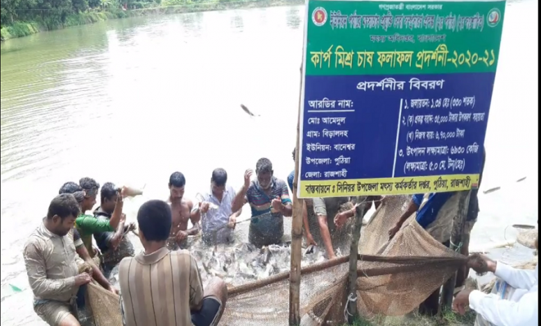 রাজশাহী ফিস