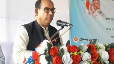 রেল