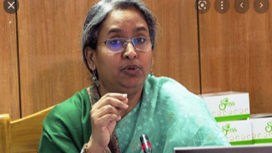 দীপু