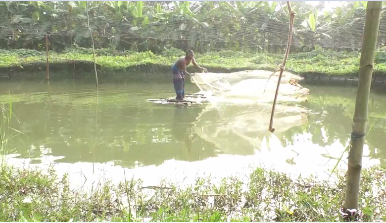 ভোলা