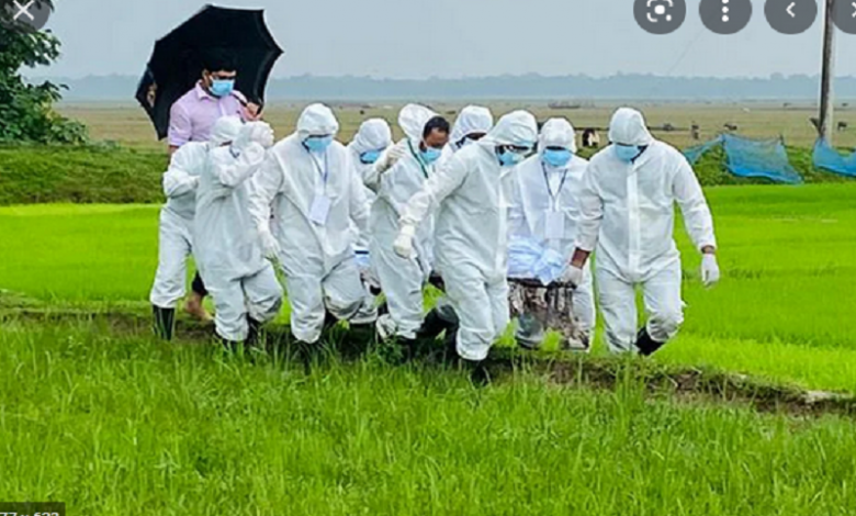 দেশে করোনায় আরও ৭ জনের মৃত্যু 1 মৃত্যু