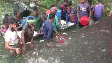 খুলনা