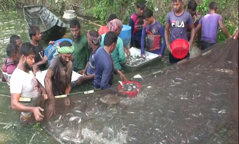 খুলনা