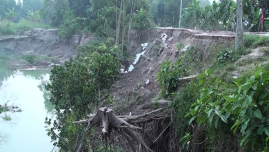 টা্ঙ্গাইল