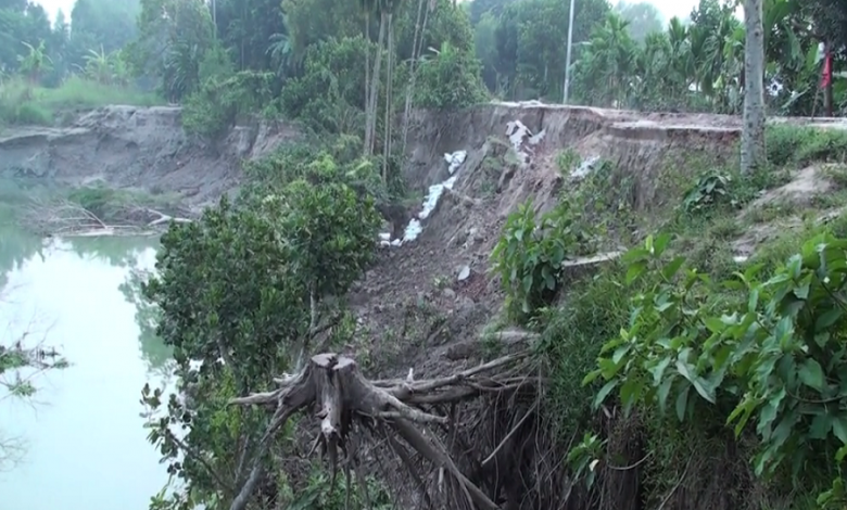 টা্ঙ্গাইল