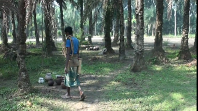 রাজশাহীধ