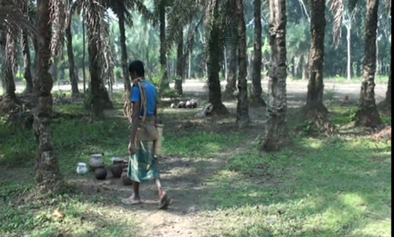 রাজশাহীধ