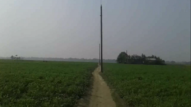 রৌমারি