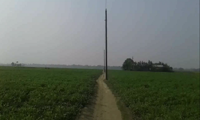 রৌমারি