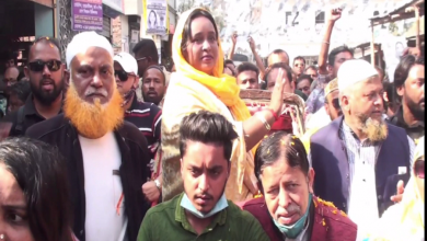 আইভী