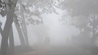 কুড়ি