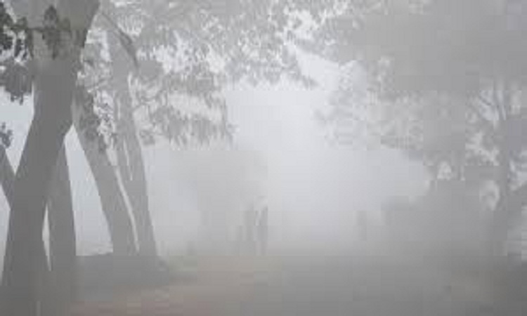 কুড়ি