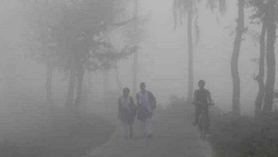 তাপ