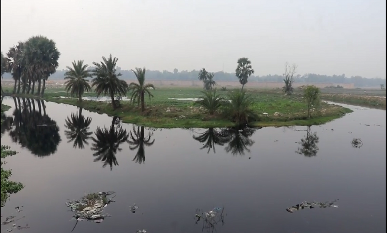 গাজীপুরের শ্রীপুরে মিল ফ্যাক্টরির বিষাক্ত তরল বর্জ্যে কৃষকের ফসলি জমি তলিয়ে গেছে 1 গাজী