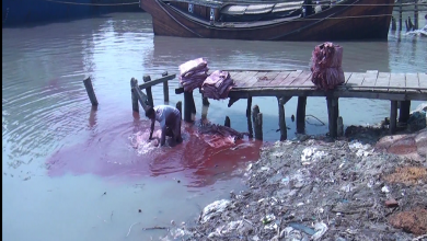 দূষণ