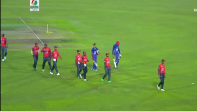 টাইগার