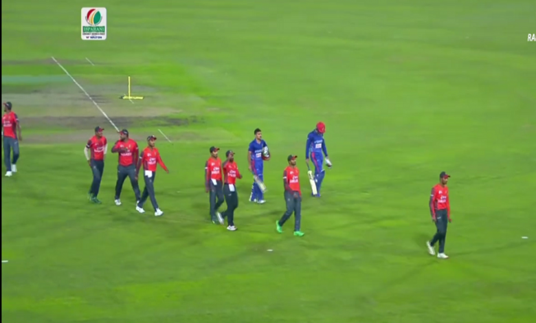 টাইগার