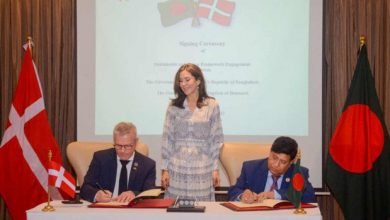 bd denmark 789789