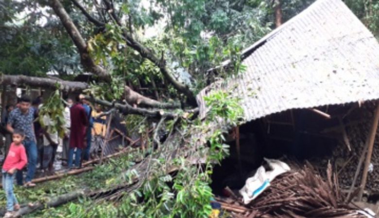 কালবৈশাখী ঝড়ে ঘরে গাছ পড়ে দুই শিশুসহ মায়ের মৃত্যু 1 ghre gach pre dui sisush mayer mrritzu 1649912487 33333