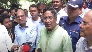 কৃষি