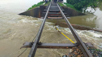 rail bridge