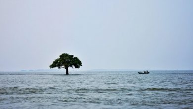 ইটনা