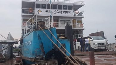 জাজি