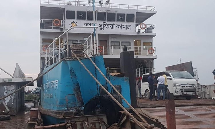 জাজি