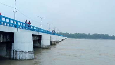 পানি