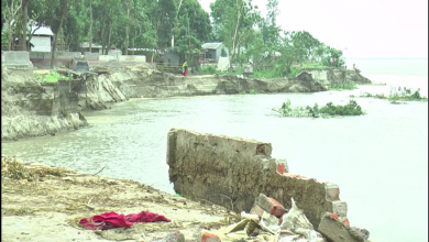 বন্যা