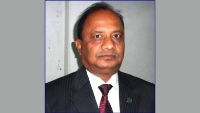 আনিস