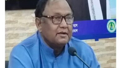 টিপু 4