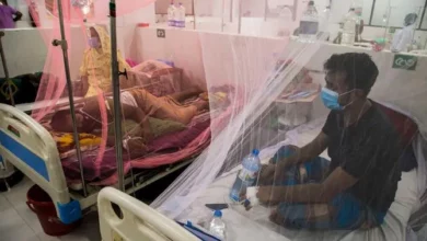 Dengu