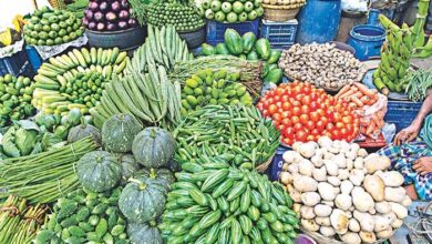 fresh vegetable exports