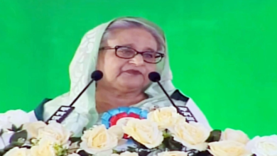 জজস