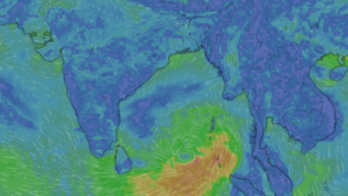 Screenshot 2023 05 09 at 23 37 28 Windy as forecasted cc063efb8582d7ab861b7dd9bf79b4a0