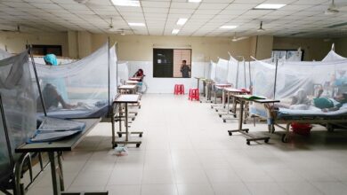 dengue 20230802184833