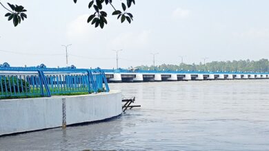 tista 1 20221012192711