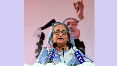 image 113993 1699706993