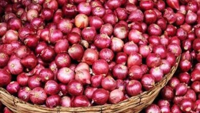 ONION