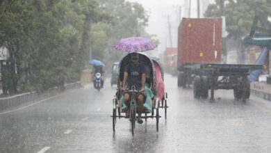 Weather Normal