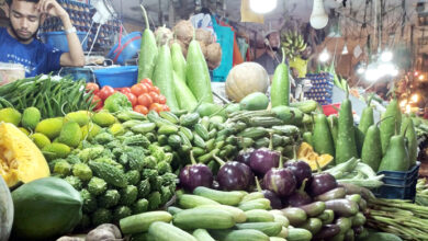 veg 20230728111404