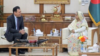 PM ADB Capture