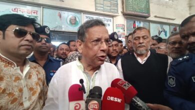 আনিসুল 1